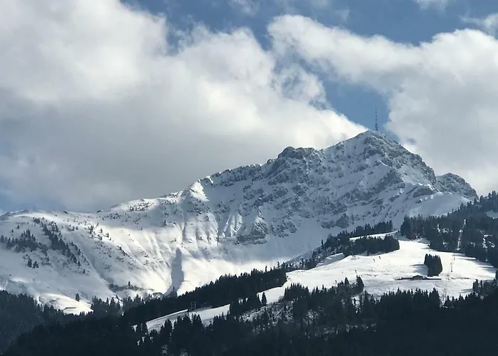 Appartement Dorf41 Top2 *