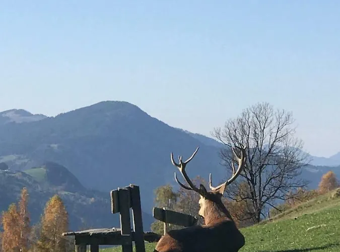 Appartement Dorf41 Top2 Kössen