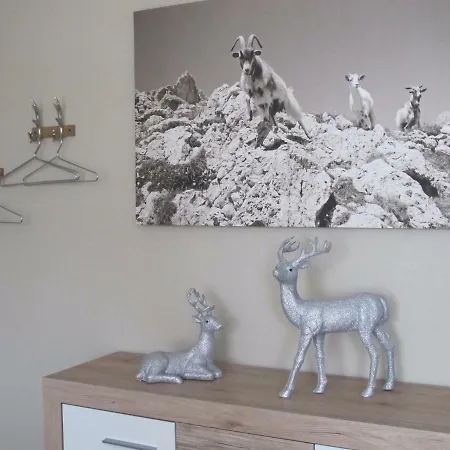 Dorf41 Top2 Daire Kössen